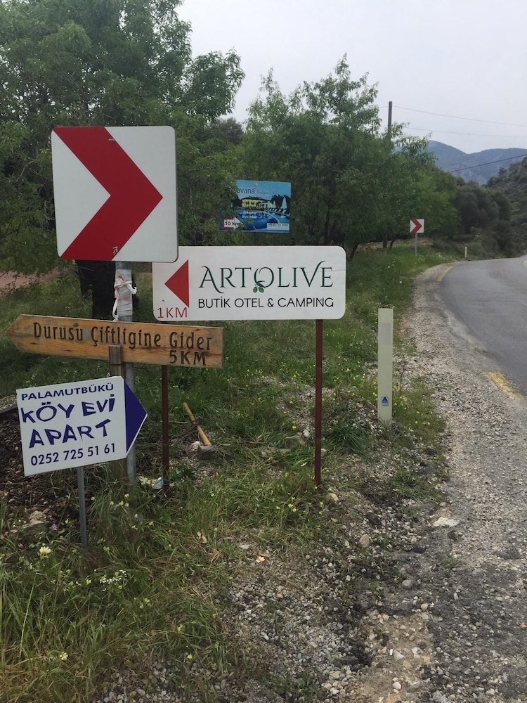Artolive Datca