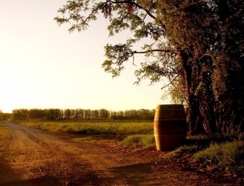 Algodon Wine Estates and Champions Club