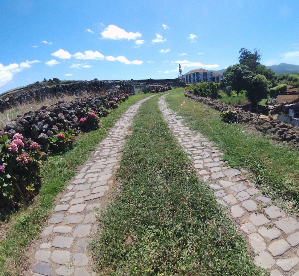 Quinta de São Braz view 2