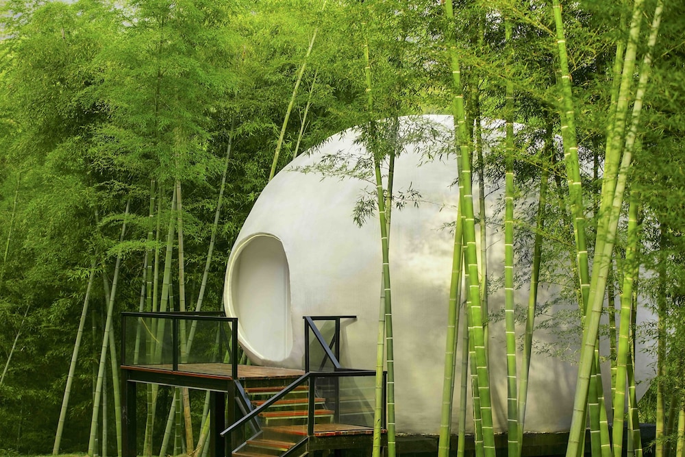 Planet Zero Retreat