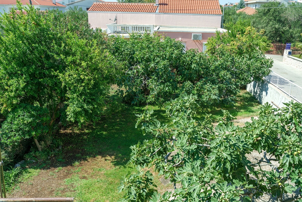 Photo 44