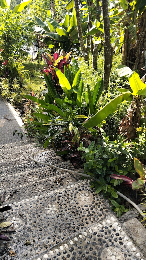 Diara Cottage