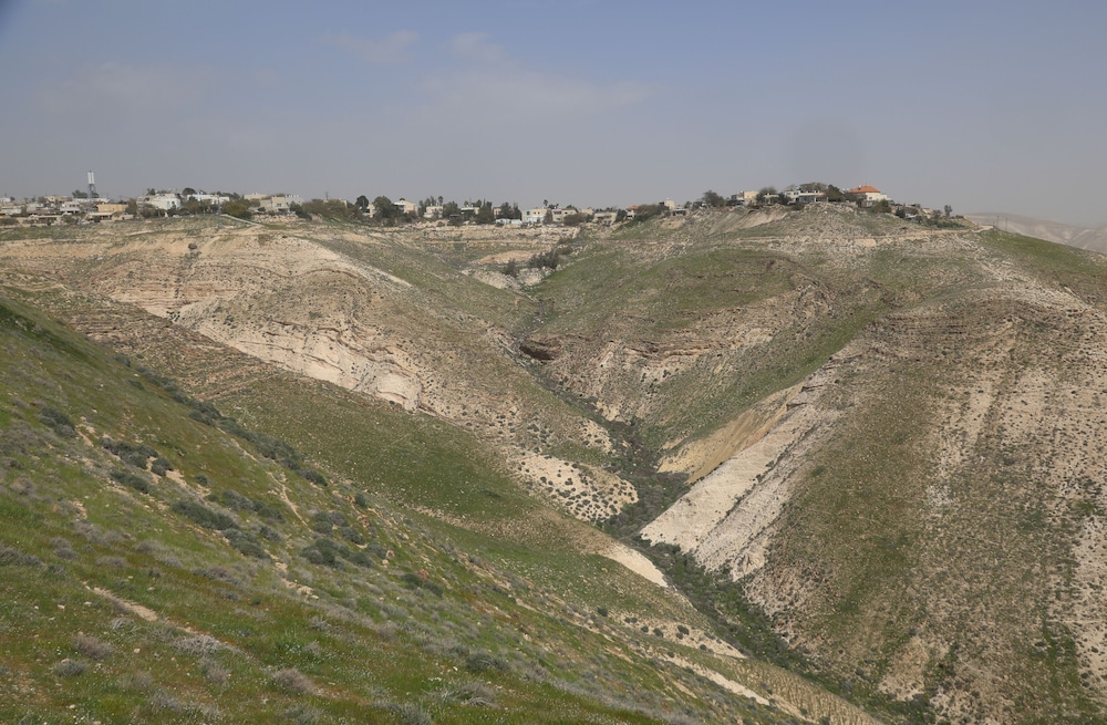 Photo 49