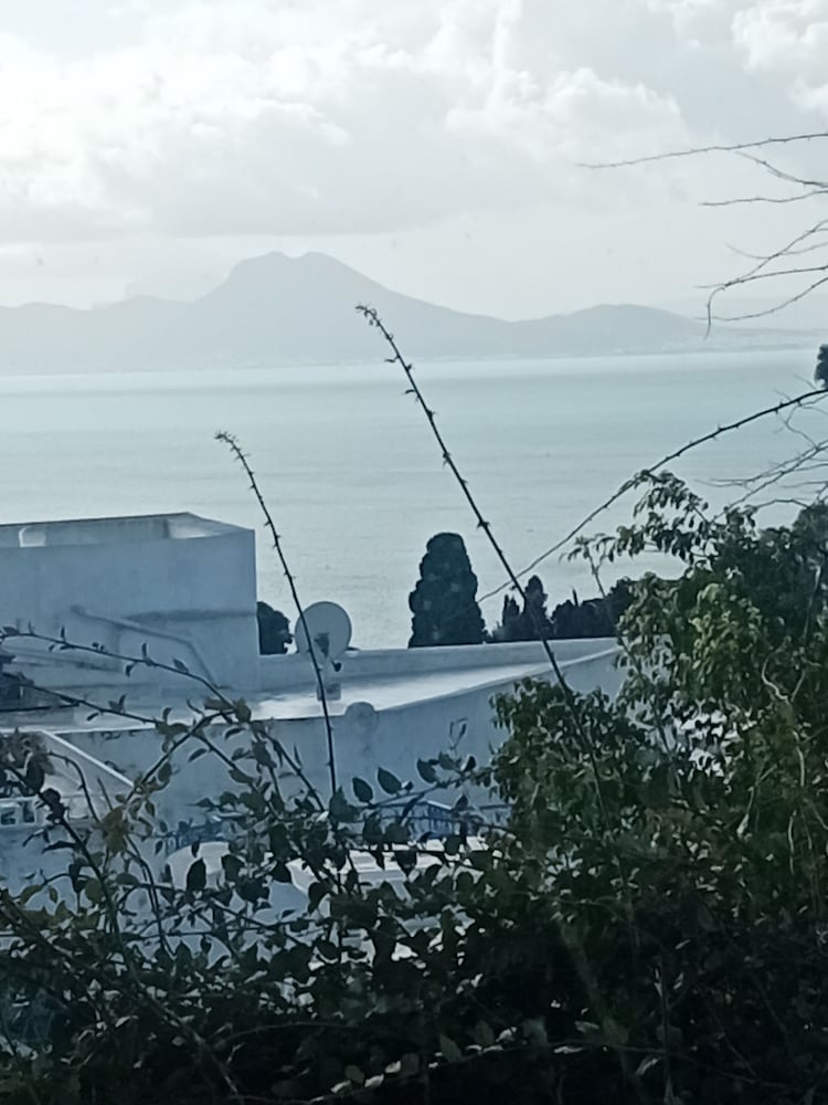Maison L'étoile de Sidi Bou Saïd - 360° Sea View