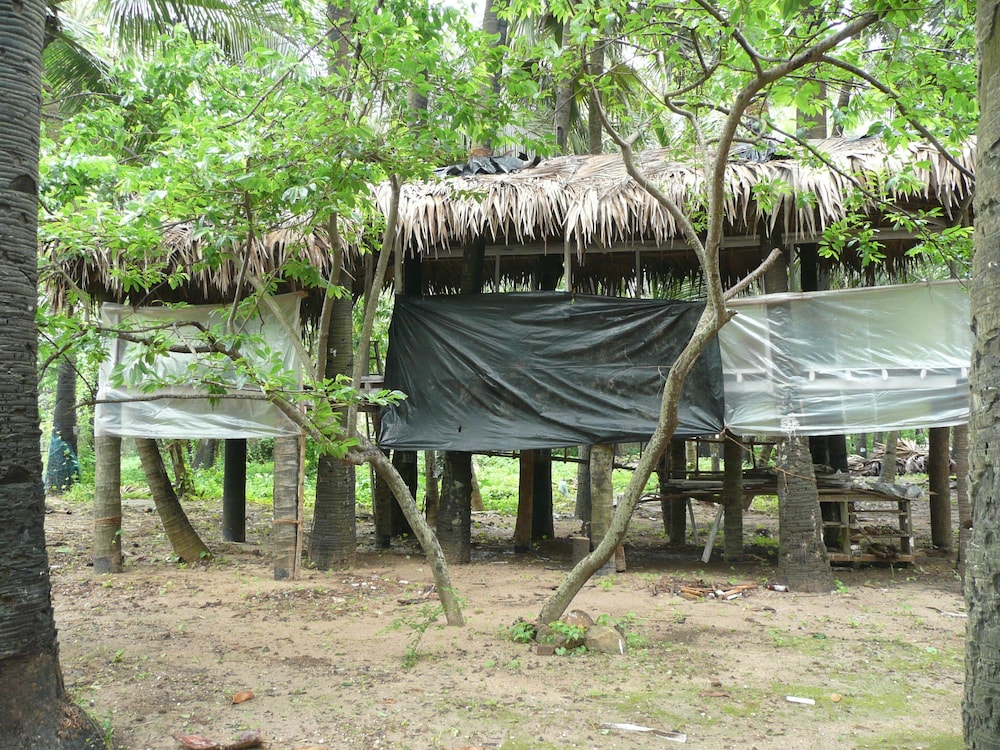 Manoribel