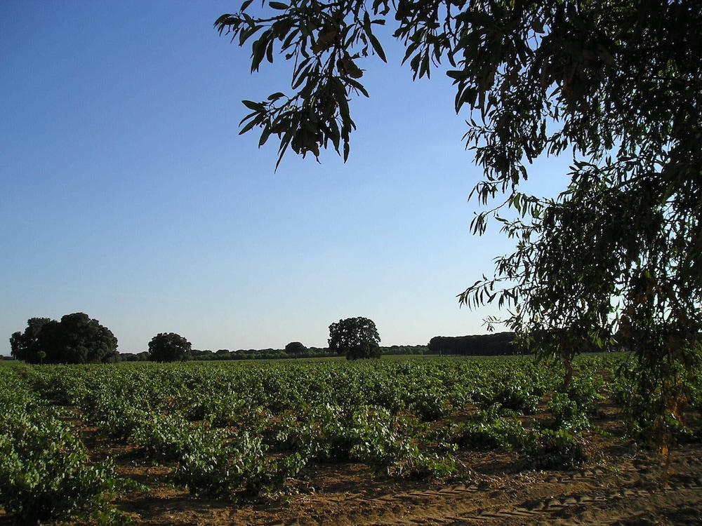 Casa Rural La Navarra view 5