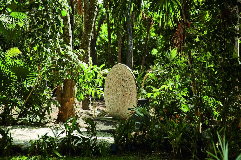 Hotel Riu Tequila - All Inclusive - Property Image 31