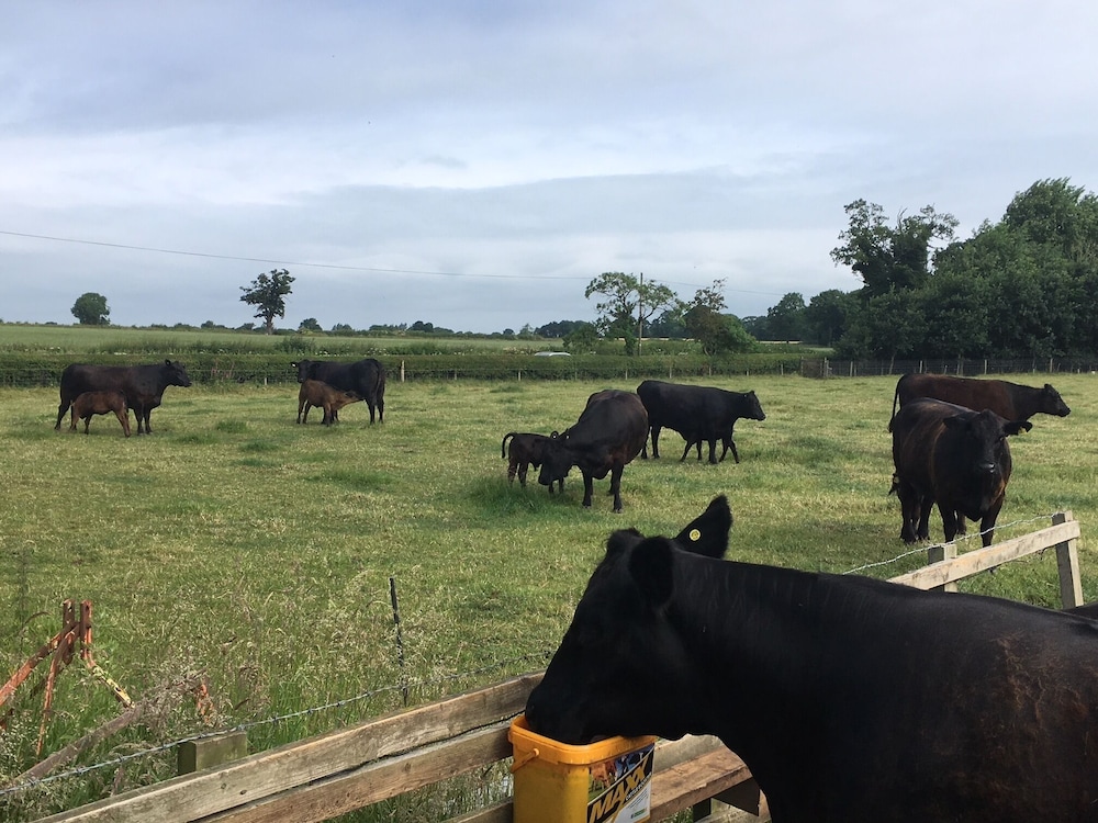 Marsh Farm