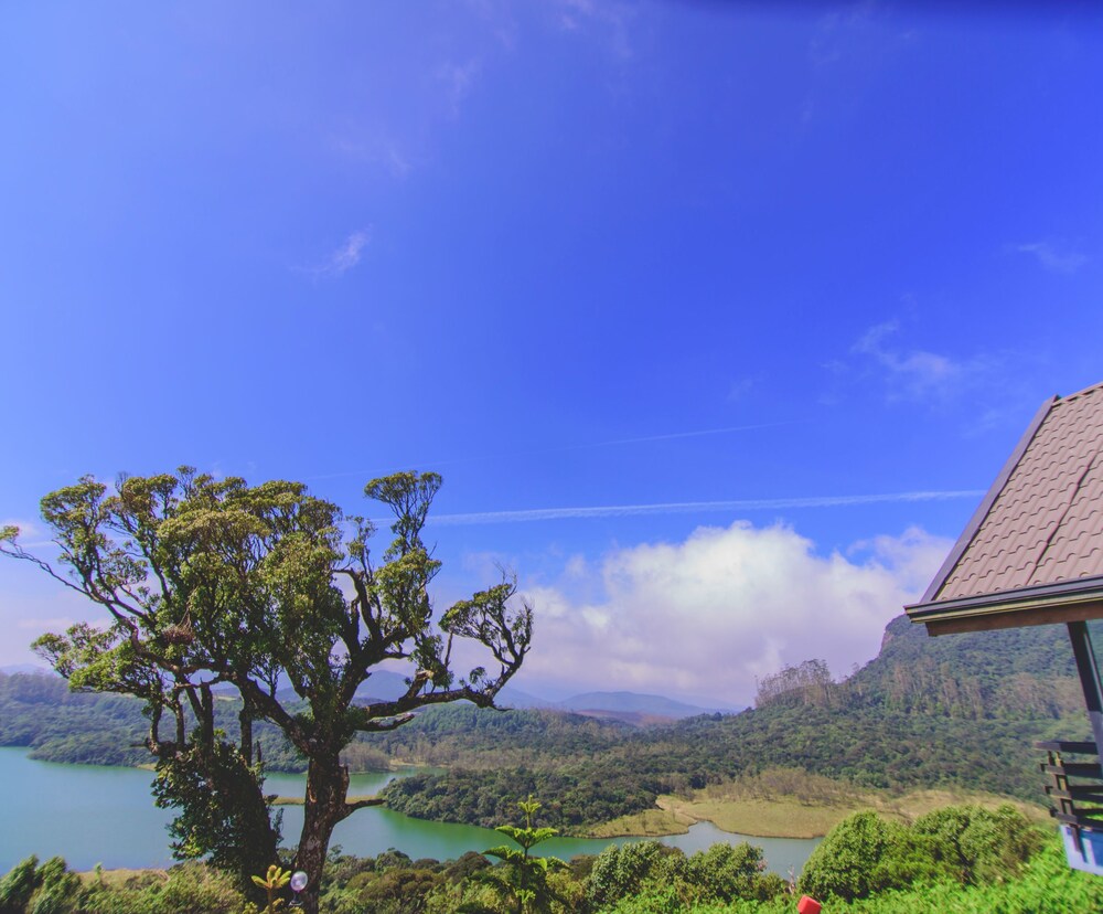Mount Lake Inn