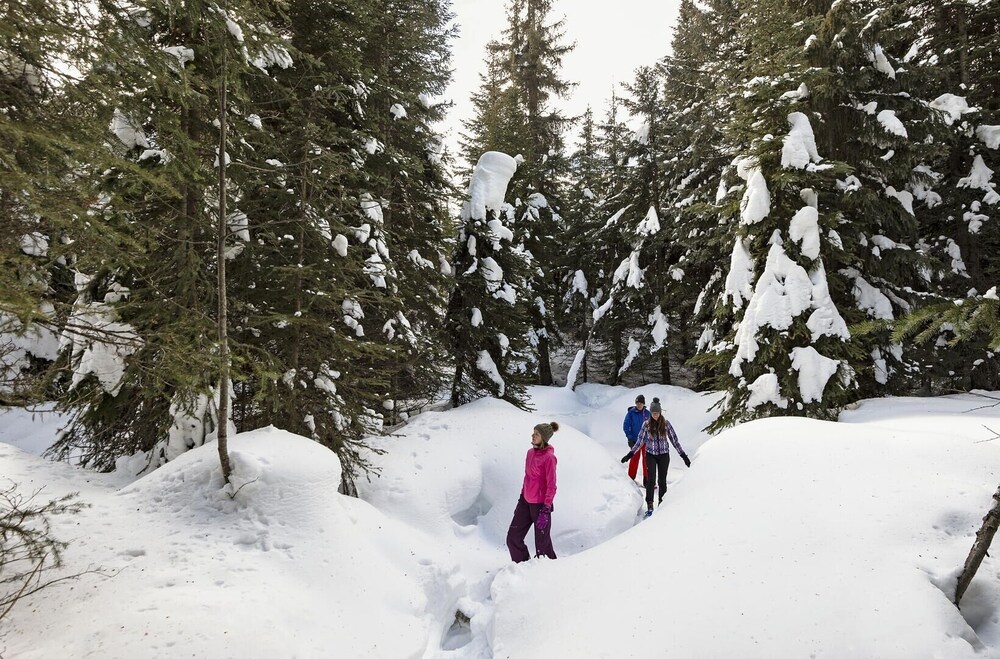 Sun Peaks Vacations - Settlers Crossing 41 - Property Image 2