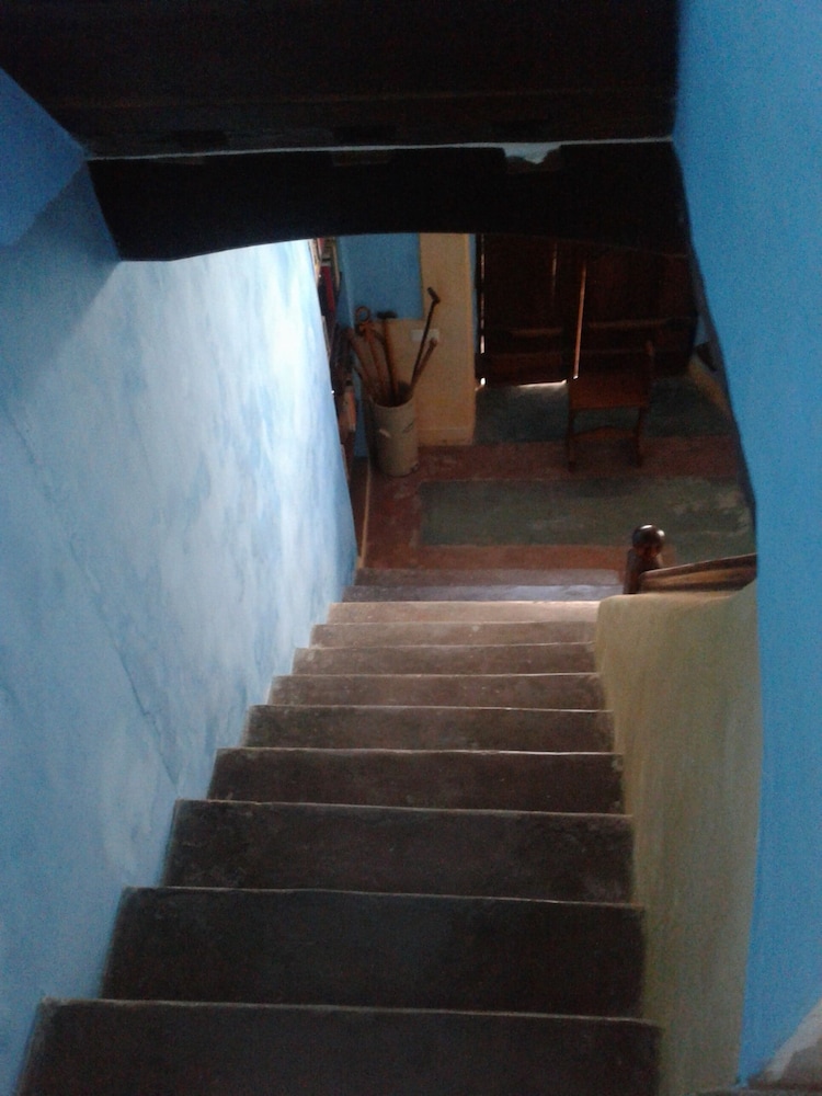 Jardim dos Aloés - Unique B&B, photo 13