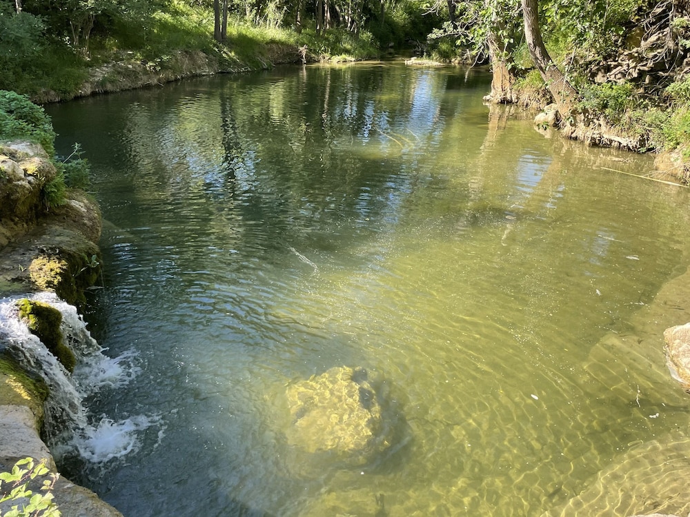 Photo 42