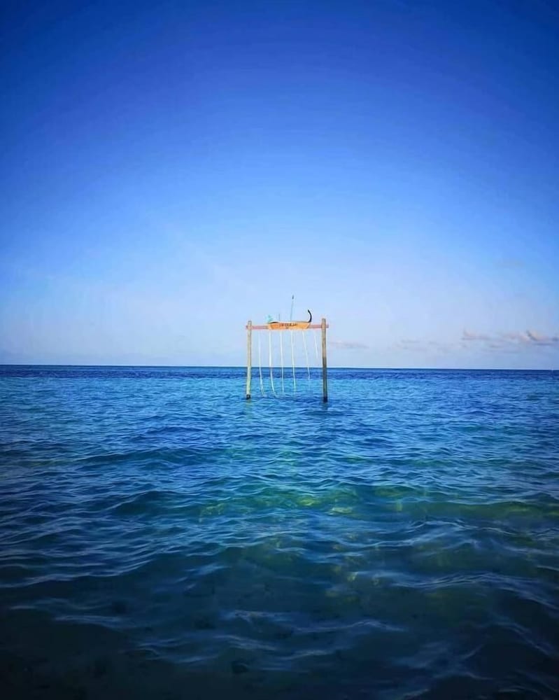 String Wave Maldives