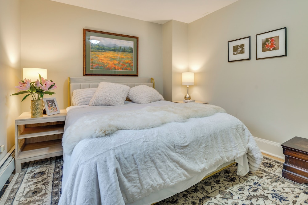 < 1 Mi to Xcel Energy Center: Walkable Hideaway!