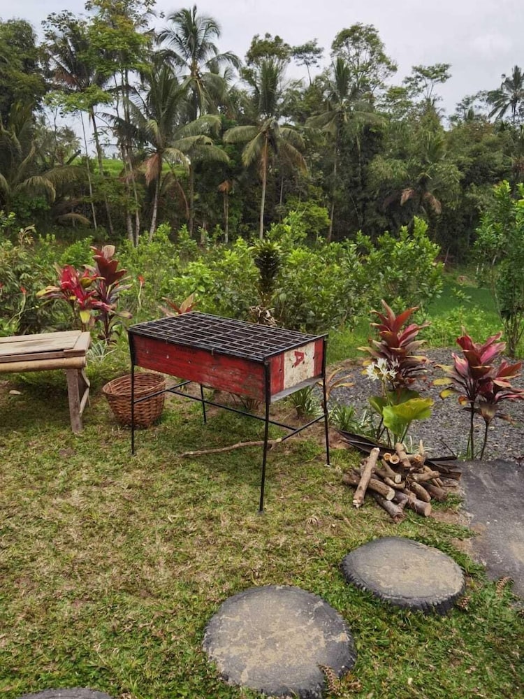 Homestay Ijen Lemonhouse