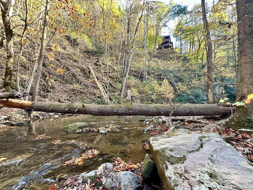 Cove Creek Overlook