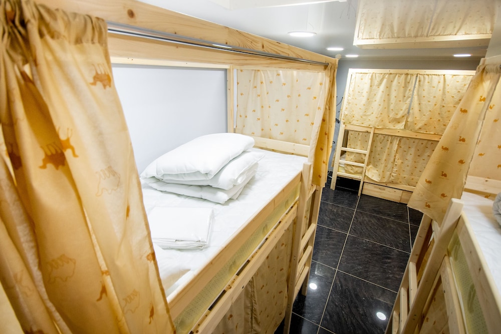 Hostel Plazkart