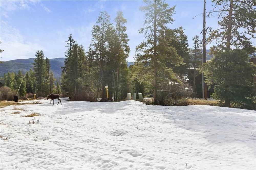 Pines 103 4 Bedroom Ski In Out Town House