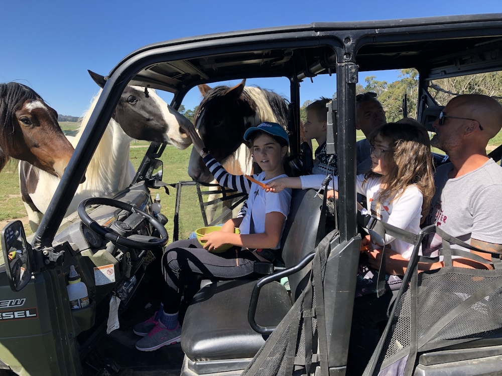 High Country Trail Rides & Farm Stay view 4
