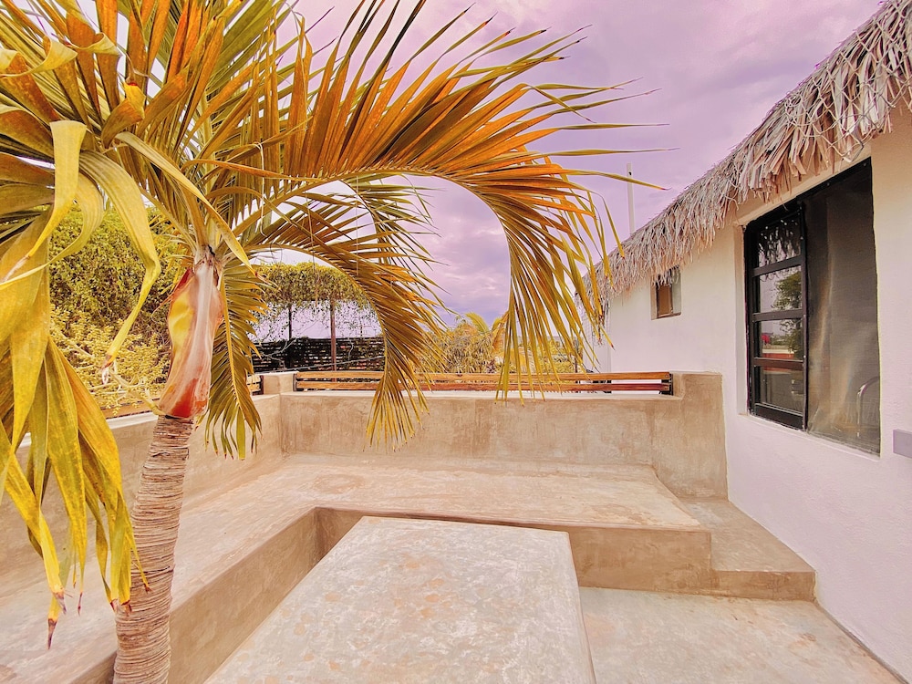 Perro Surfero Hotel Boutique - Todos Santos, BCS