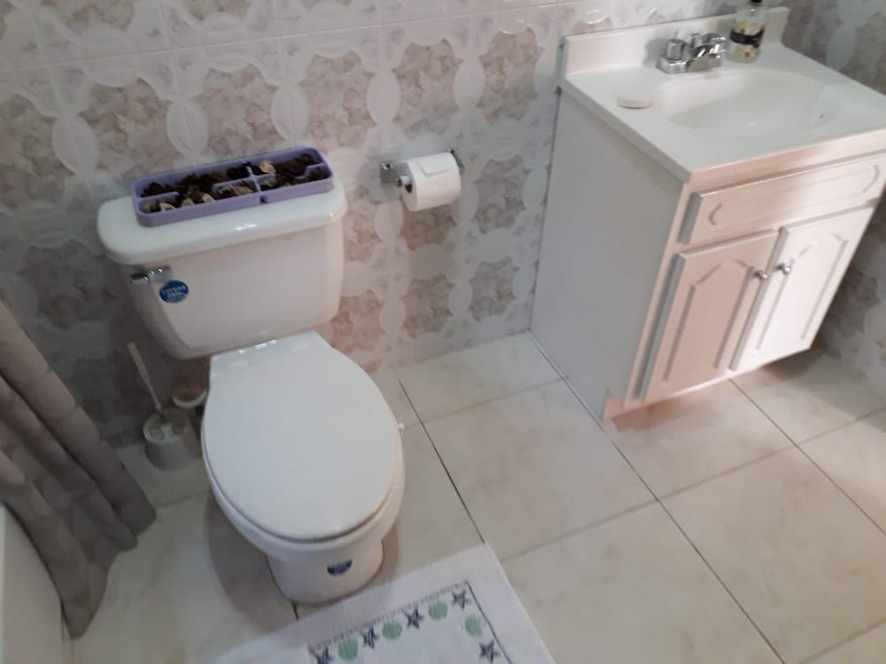 Rose View Apartment Montego Bay
