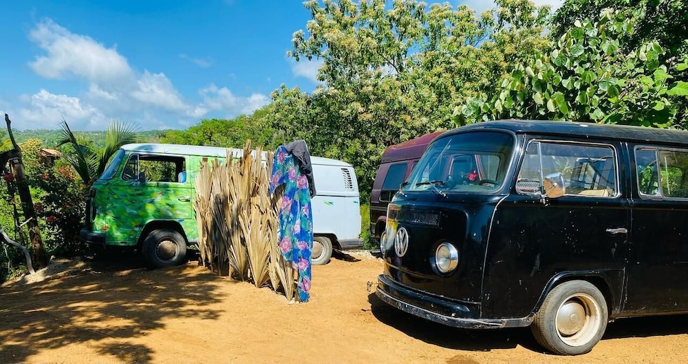 Bajo las Estrellas eco camp