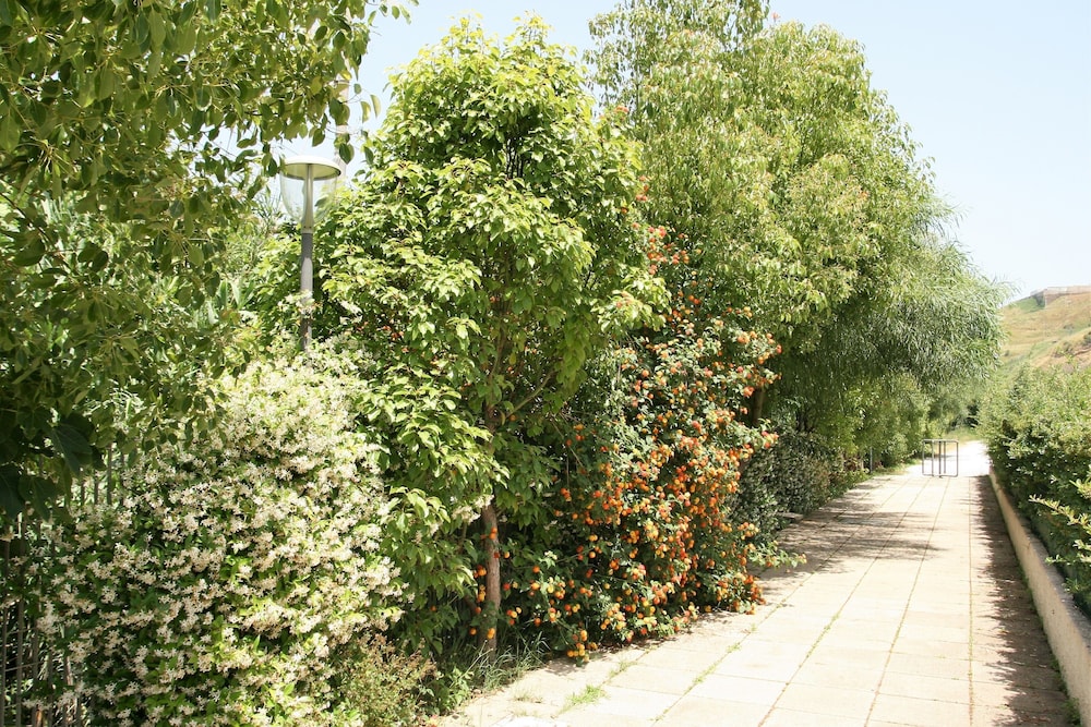 Pietre Bianche