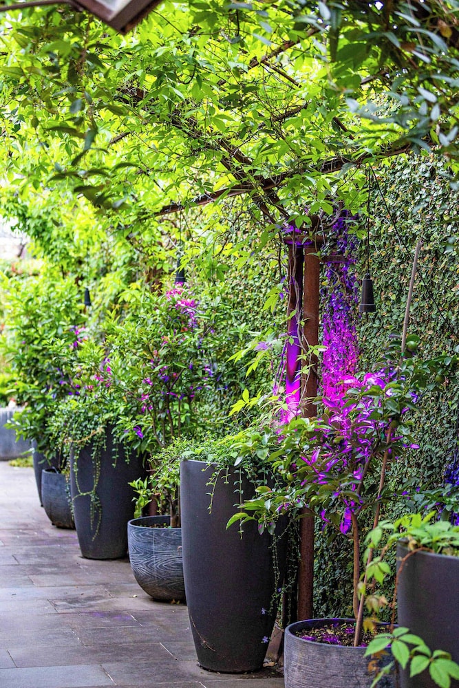 The Empress Direct Access Carlton Gardens