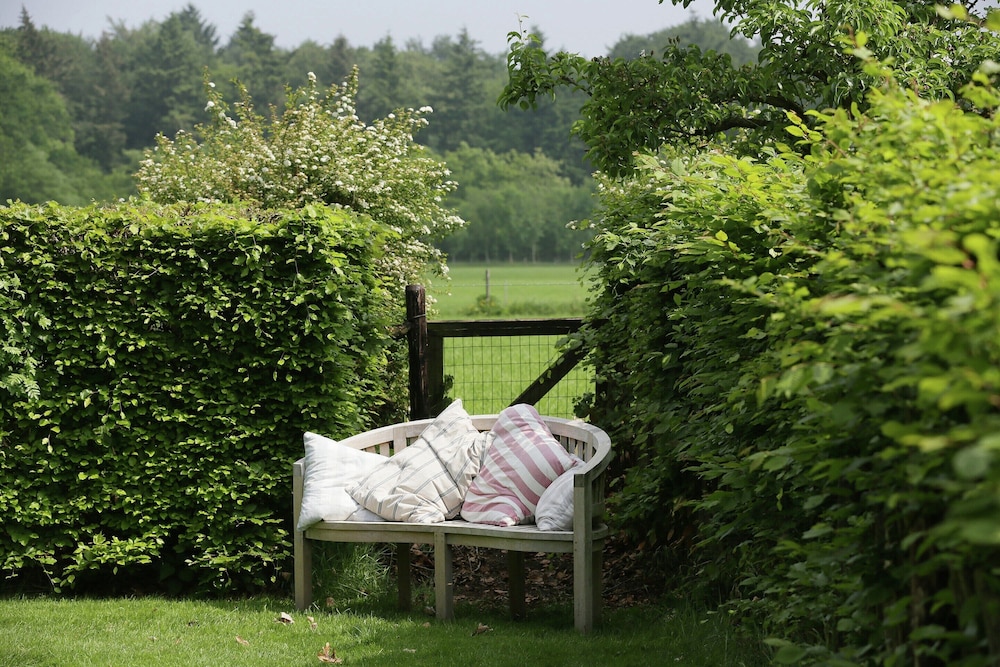 Peaceful Farmhouse in Doorn near Forest view 4