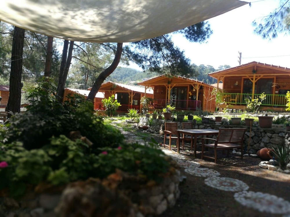 Photo 18