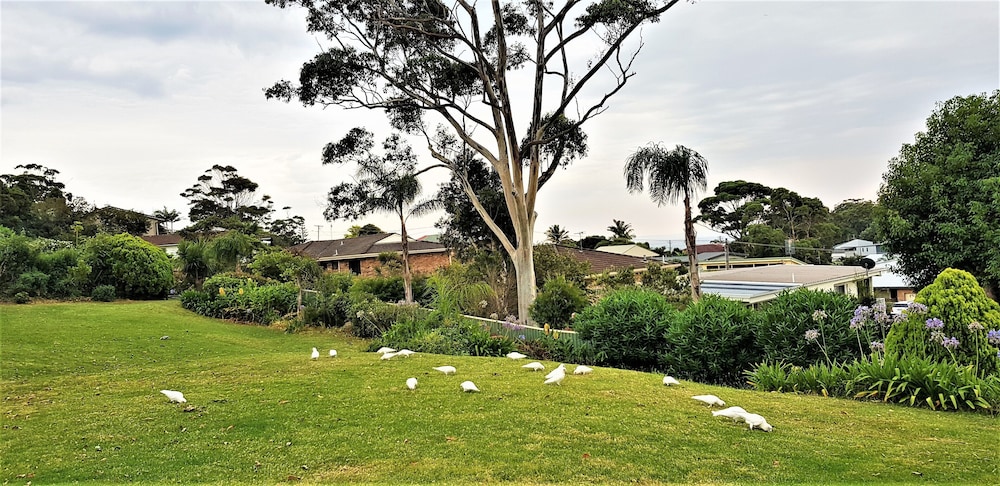 Mollymook Ocean View Motel - Welcoming Guests 18 Years and Older