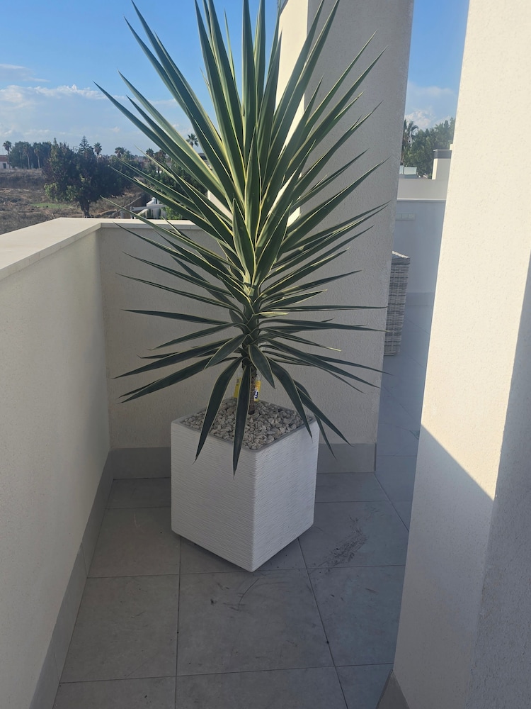 Mallorca Oasis Villa