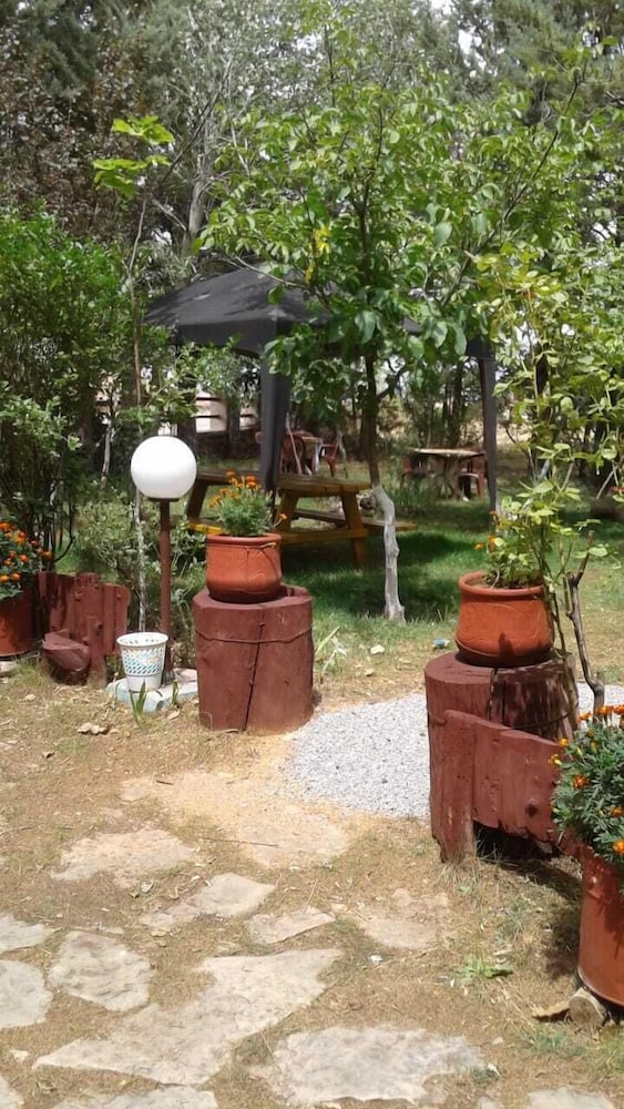 Auberge La Forestiere