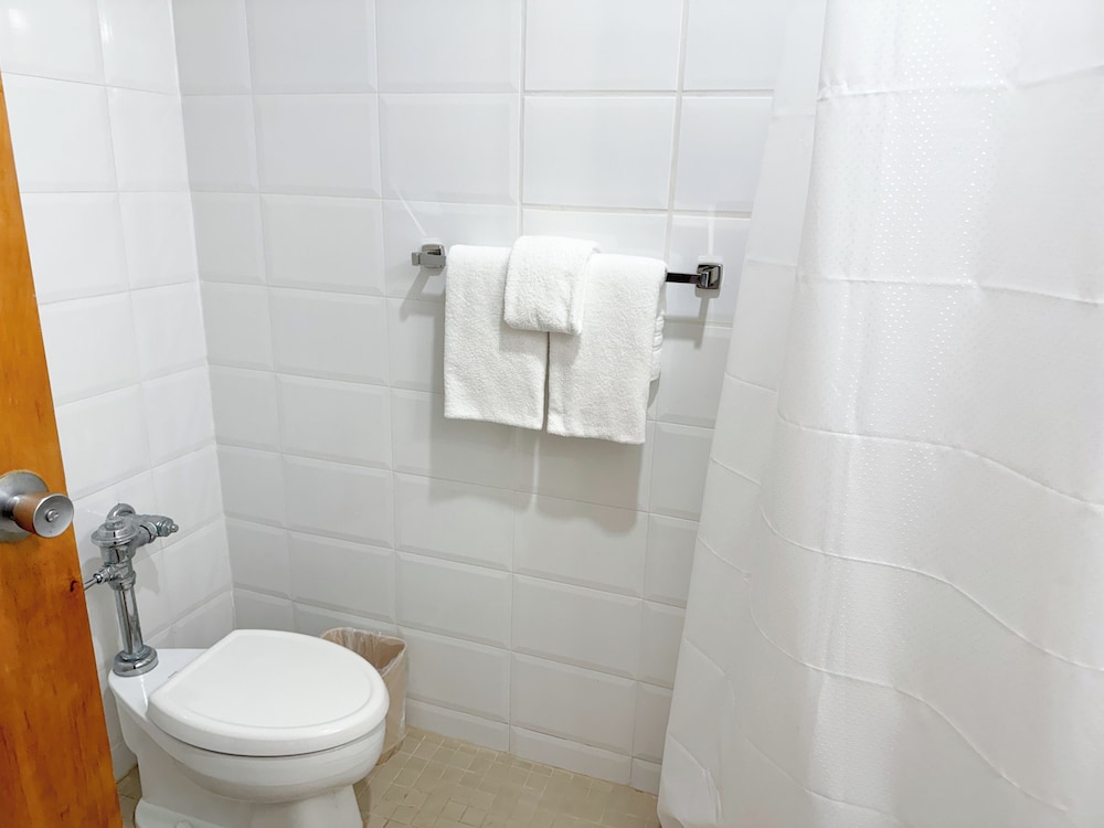 Ficus Hotel - Property Image 12