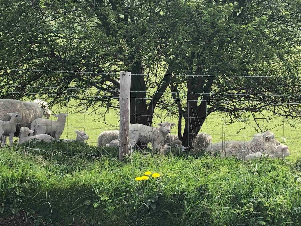 Marlborough Vacations - Perfect Cottage Hideaway in the Divine Pewsey Vale - Property Image 18