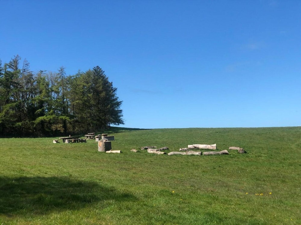 Elm - Bell Tent 2-4 Person Anglesey, North Wales view 5