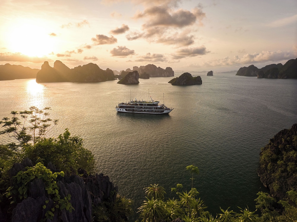 Rosa Boutique Cruise