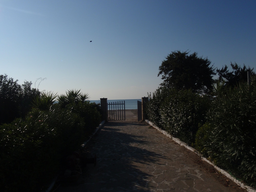 Photo 41