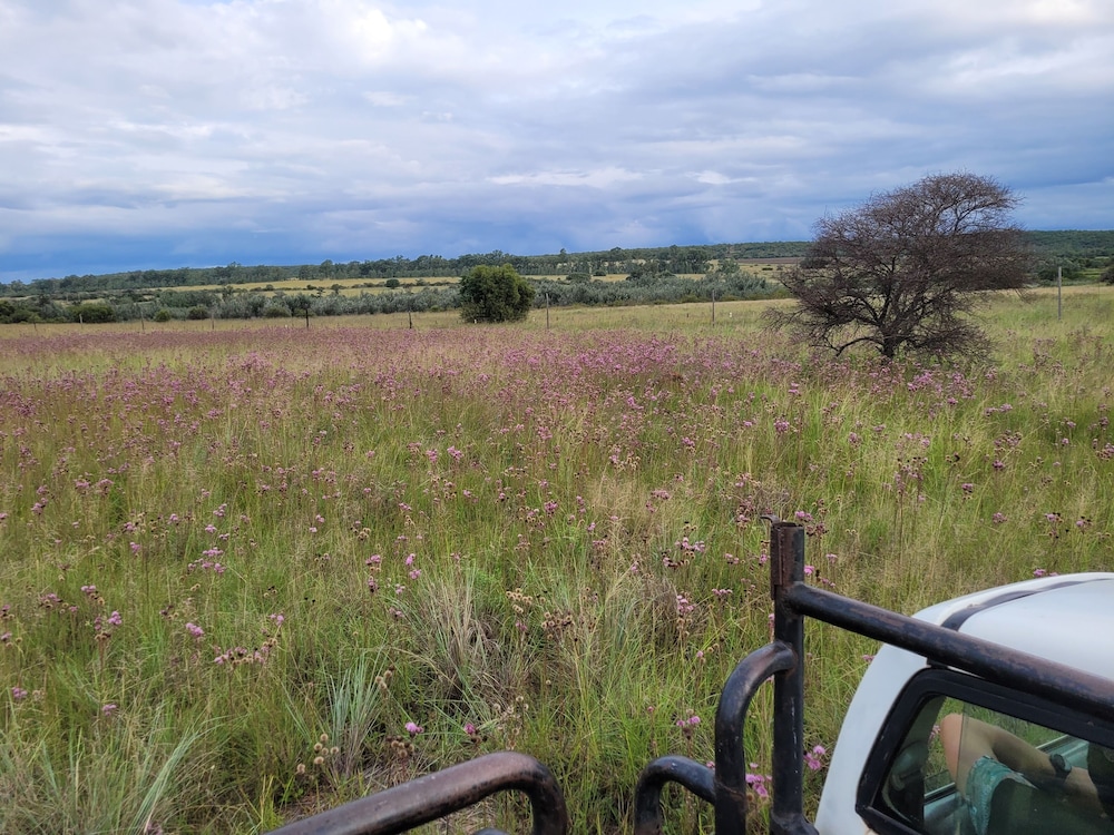 Lush Horizons Game Lodge