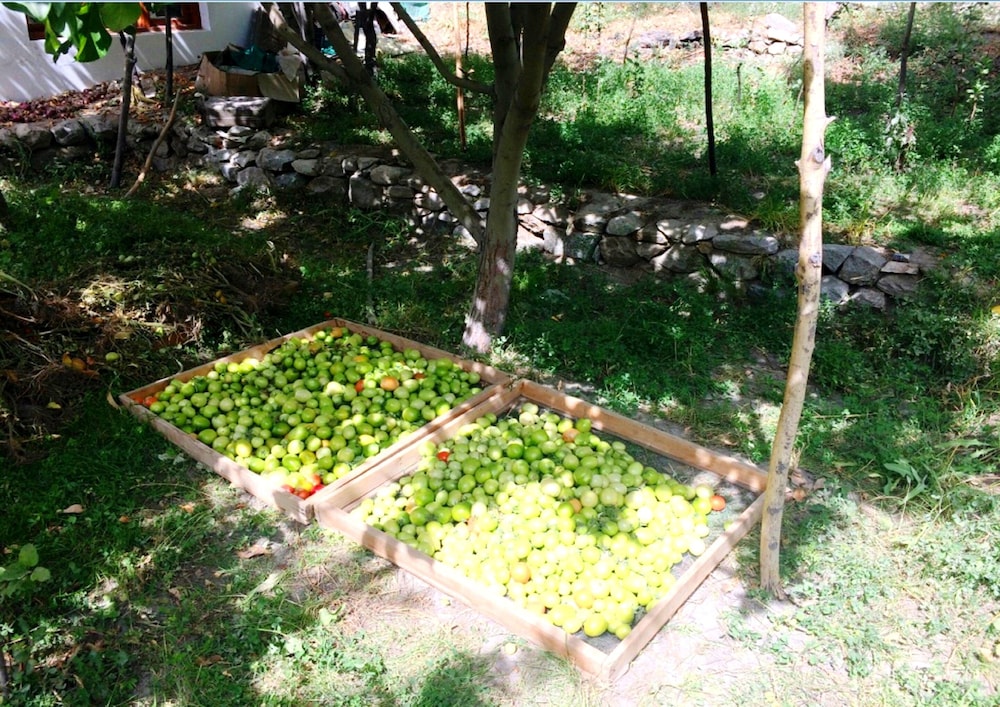 TIH A O Guest House & Home stay