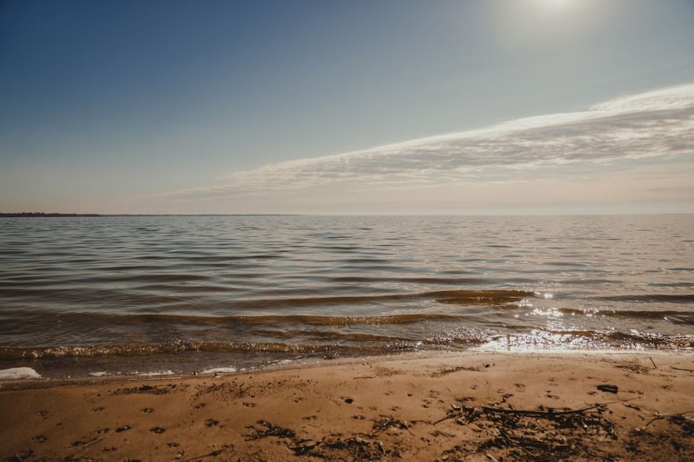 Wilding Hotels Tawakoni Scenic Deluxe