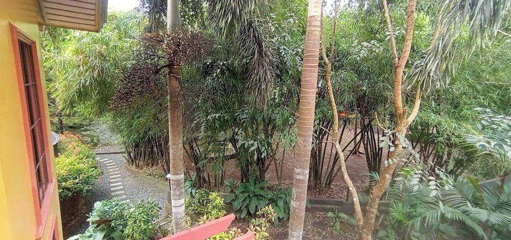 Your Tagaytay Escape Here in Mendez, Where Nature, Relaxation, and Fun Await