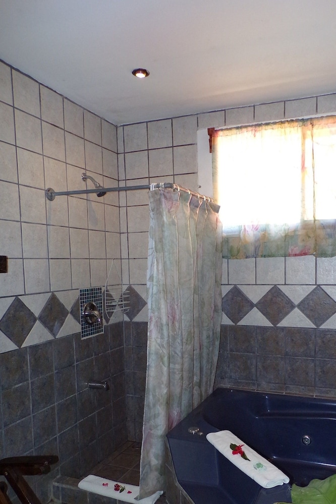 Mycasa's Bed and Breakfast
