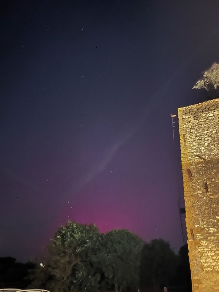 Torre Menerva Viterbo