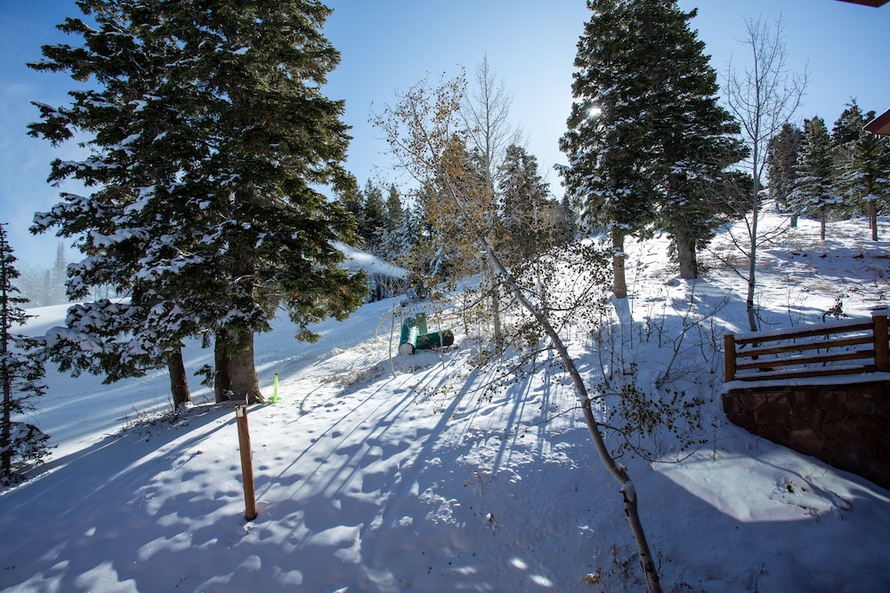 Stag Lodge at Deer Valley Resort - Four Bedroom with Spa #30 4 Condo