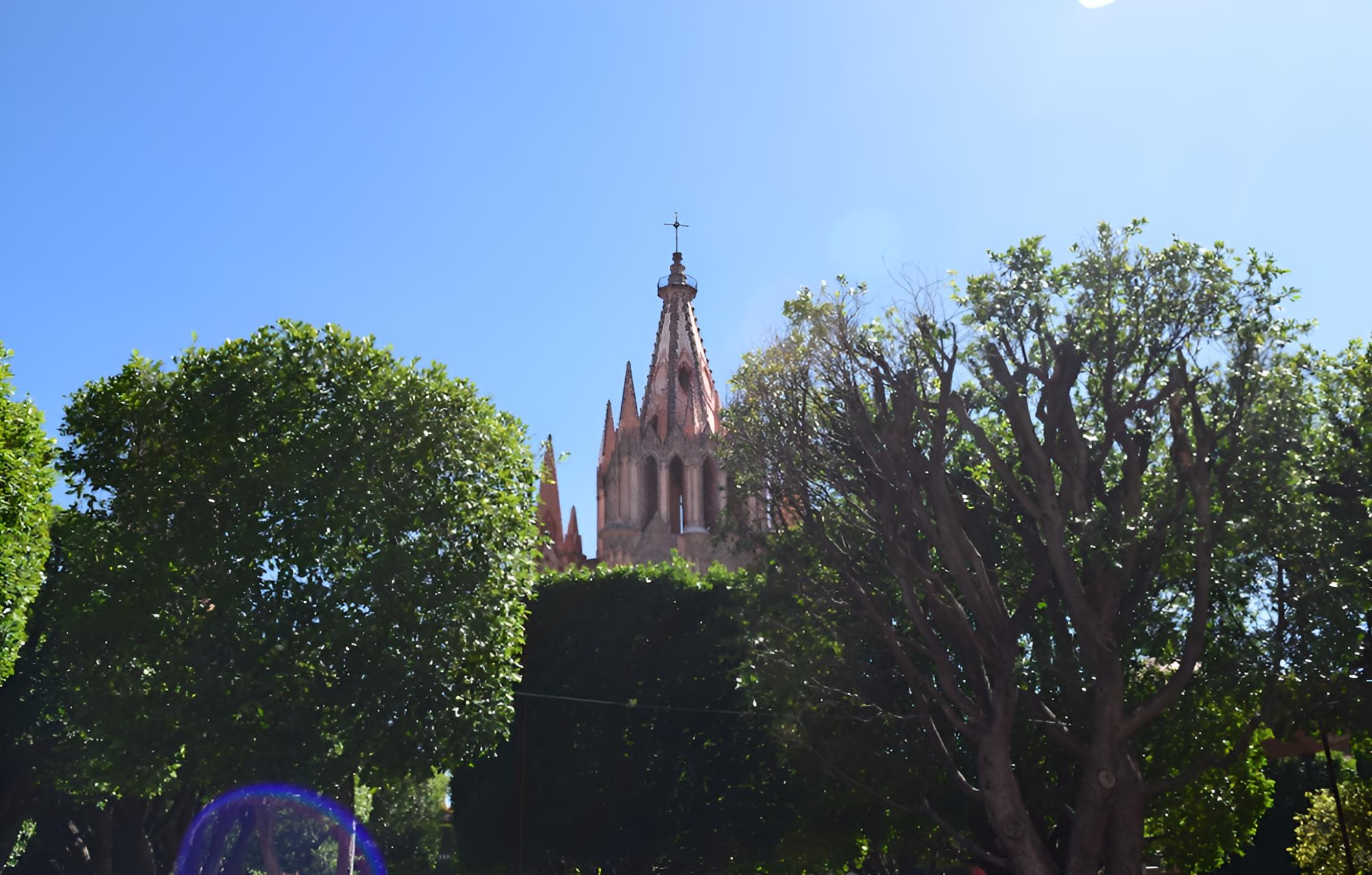Photo 19