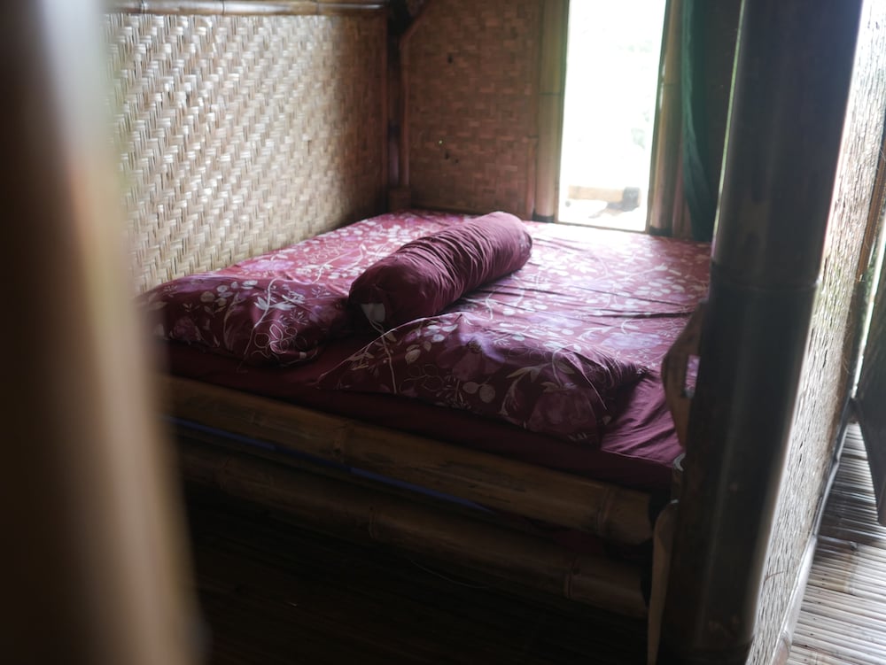 Photo 42