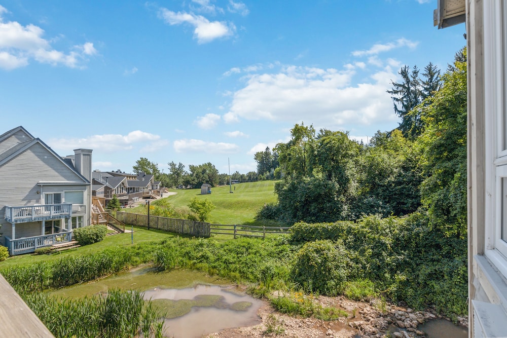 Photo 174