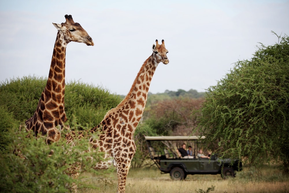 Jabulani Safari Relais & Chateaux