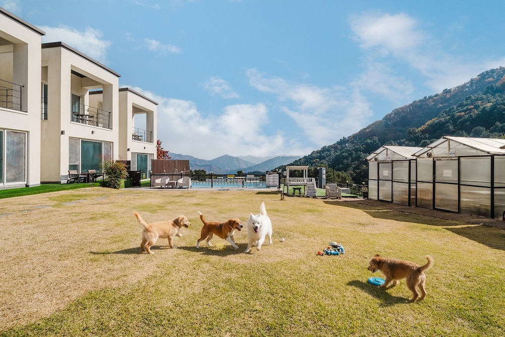 Gapyeong Gaedaek Pension